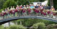 /album/a25/a2017-06-29-rando-picnic-bagnoles-6cn-jpg2/